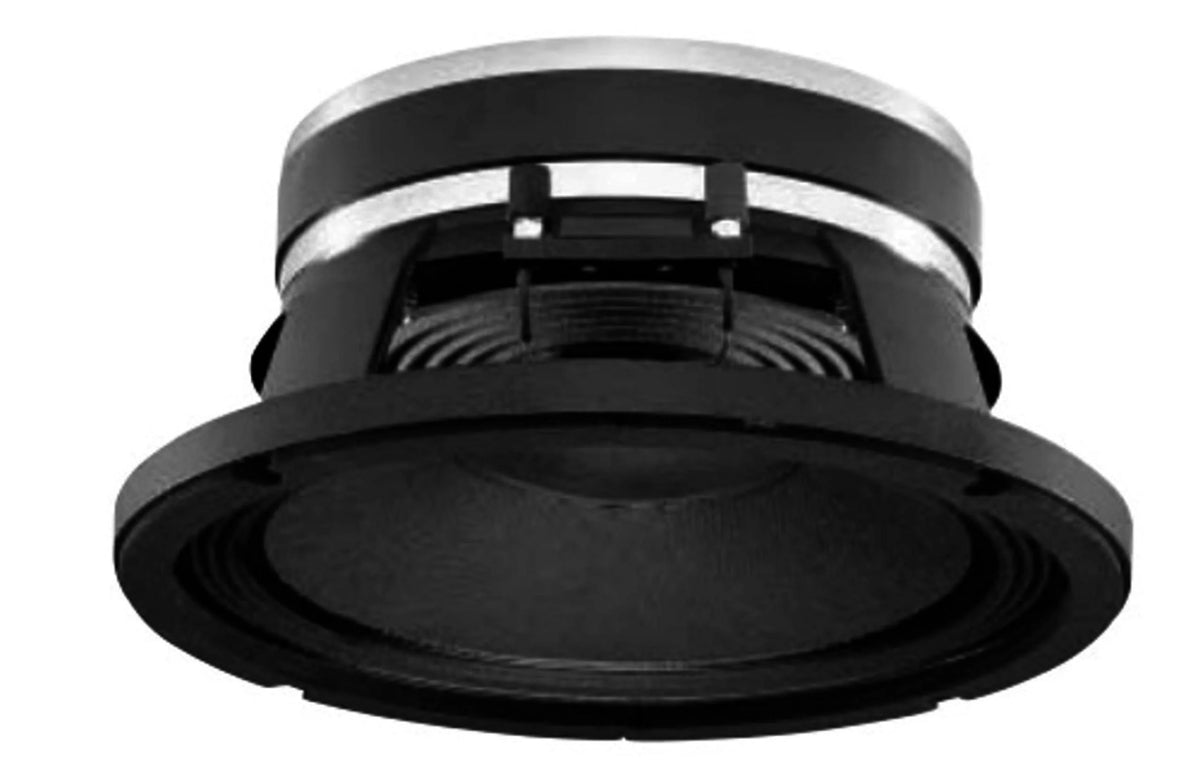 B&C Speakers 10PE26 - 8 LF Drivers 10 - Inch High Efficiency Mid - Bass, 2.5 - Inch Aluminium Voice Coil 250 Watts Rms 500 Watts Max 8 Ohms Pro Audio Component Speaker Driver for Motorcycle Car