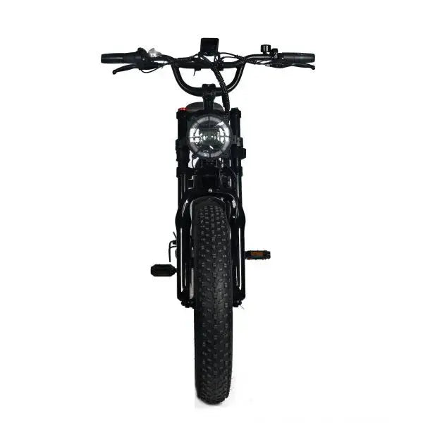 Shi Mano 1000W Fat Tire Electric Mountain Bike – 20×4.0″, 48V 20Ah Battery, 45 mph Top Speed