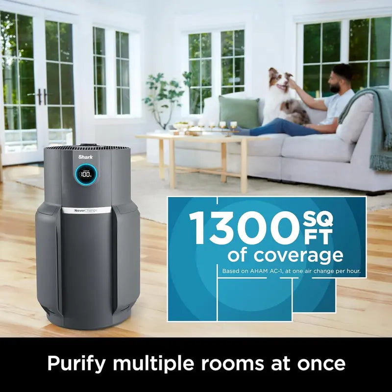 Compact Air Purifier with True HEPA Filtration – Pet Dander, Dust & Allergen Removal for Rooms up to 250 sq. ft.