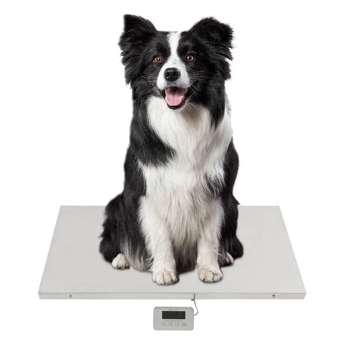 Heavy Duty Digital Livestock Scale, 660 lb Large Postal Shipping Scale, Pet Vet Scale with Stainless Steel Platform, Electronic Dog Hog Sheep Goat Pig Sheep Scale