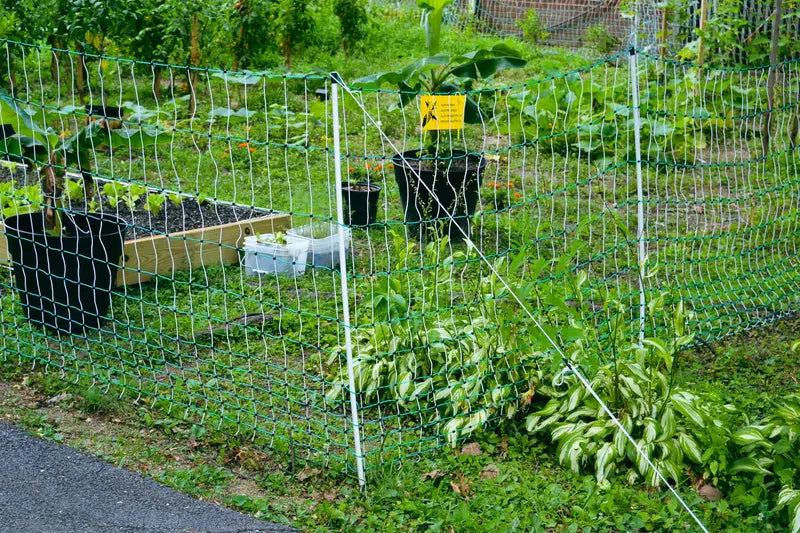 RentACoop Electric Predator-Proof Poultry Fence – Solar-Compatible Chicken Enclosure