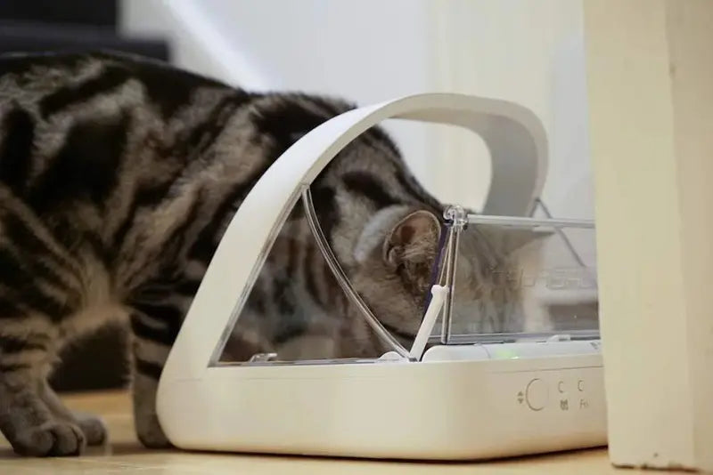 Smart Pet Feeder with Integrated Scale & Prescription Diet Support