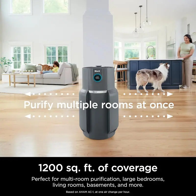 Compact Air Purifier with True HEPA Filtration – Pet Dander, Dust & Allergen Removal for Rooms up to 250 sq. ft.
