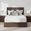 Allerease Platinum Mattress Protector | Queen