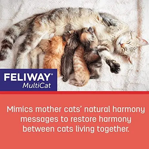 Felivay MultiCat 30-Day Calming Pheromone Refill – 3 Pack