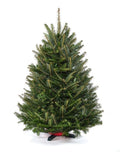 Tabletop Holiday Tree-36" Tall