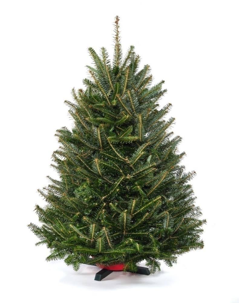 Tabletop Holiday Tree-36" Tall