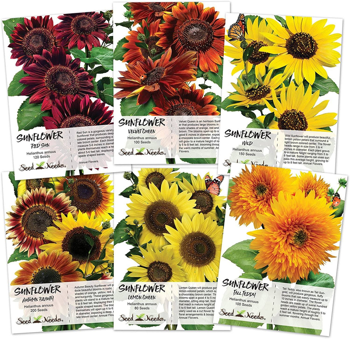 Crazy Sunflower Seed Packet Assortment (6 Individual Seed Packets)