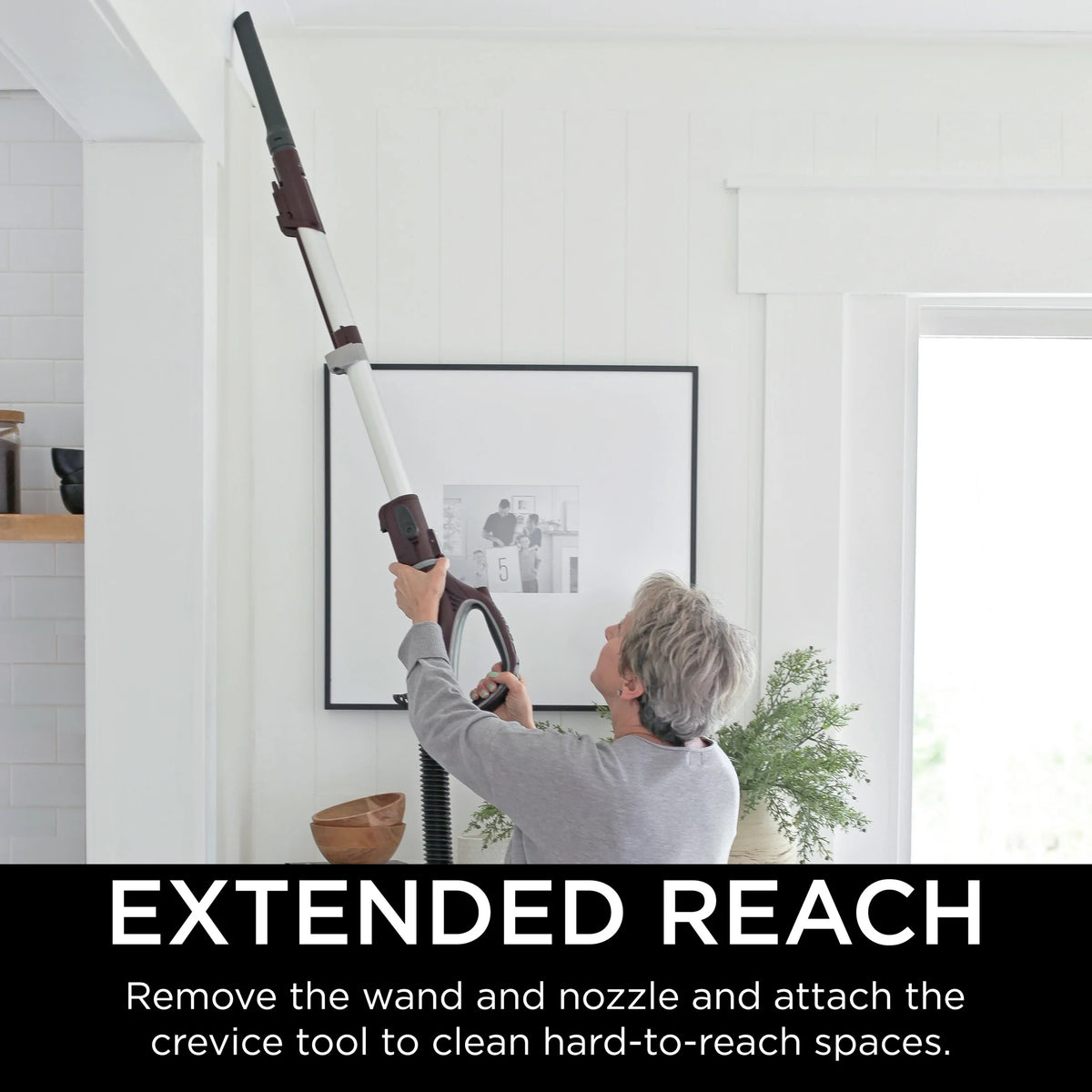 Shark® Rotator® Powered Lift - Away® Truepet® Upright Vacuum