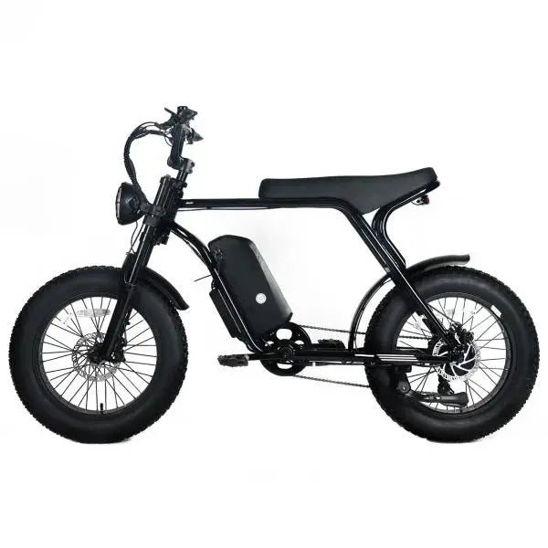 Shi Mano 1000W Fat Tire Electric Mountain Bike – 20×4.0″, 48V 20Ah Battery, 45 mph Top Speed