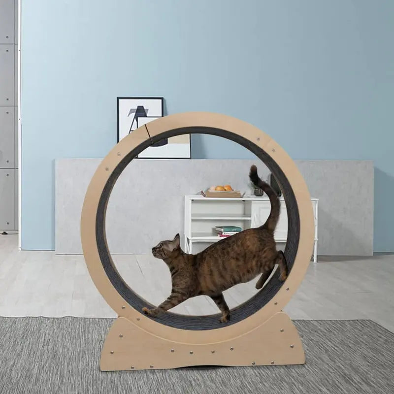 COZIWOW Cat Exercise Wheel Indoor Large Cat Toy with Movable Carpet CW12S0498