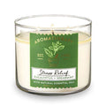 Bath & Body Works Aromatherapy Stress Relief - Eucalyptus Spearmint 3-Wick Scented Candle 14.5 oz