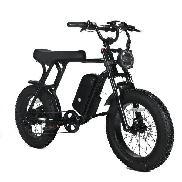 Shi Mano 1000W Fat Tire Electric Mountain Bike – 20×4.0″, 48V 20Ah Battery, 45 mph Top Speed