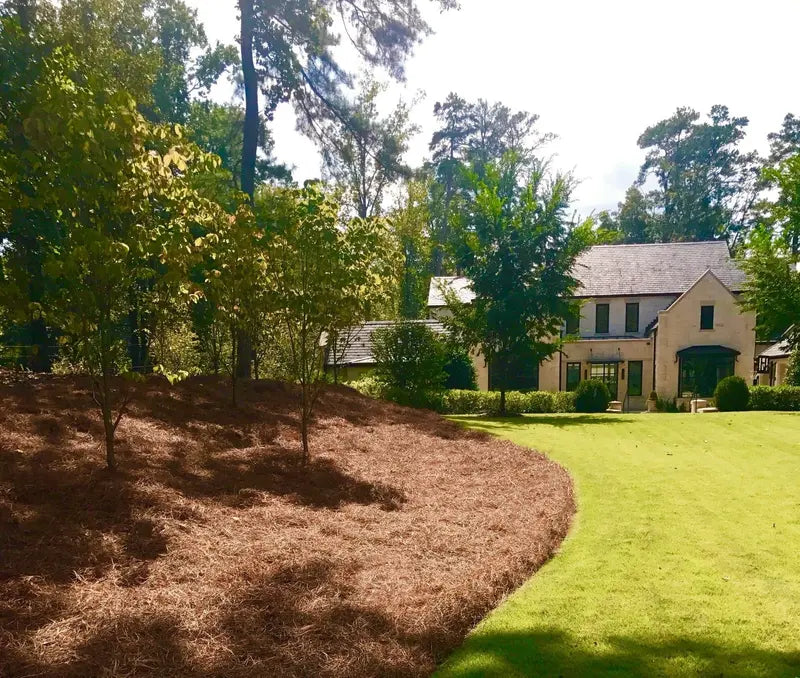 Premium Long-Needle Pine Straw Mulch – Covers Up to 300 Sq. Ft.