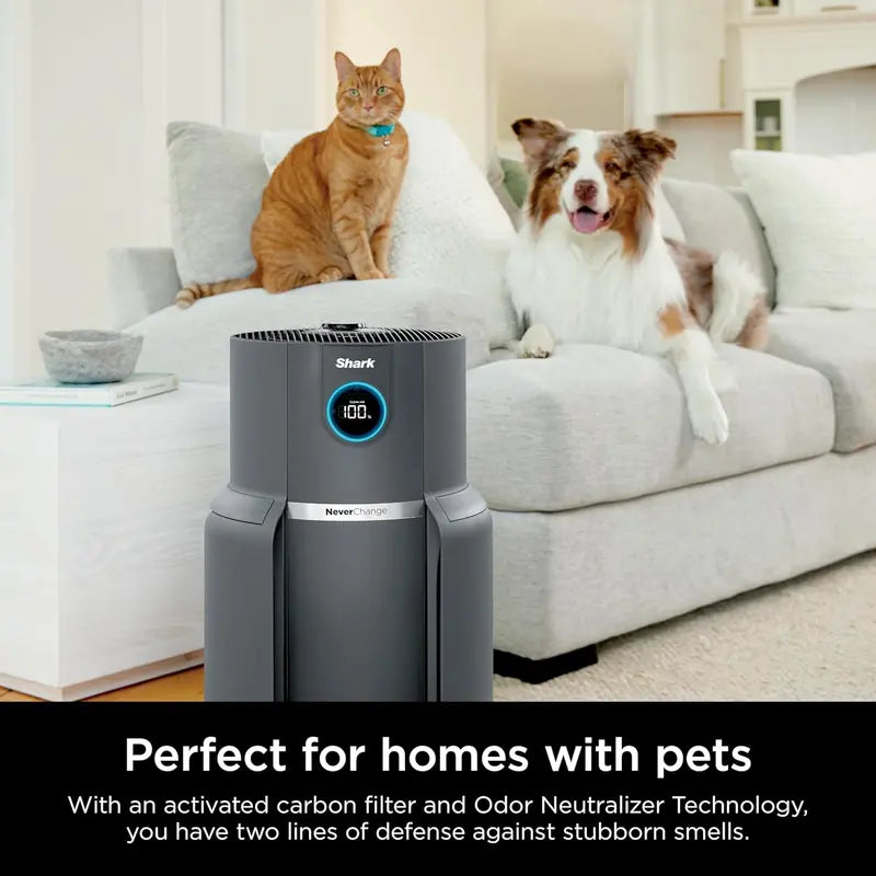 Compact Air Purifier with True HEPA Filtration – Pet Dander, Dust & Allergen Removal for Rooms up to 250 sq. ft.
