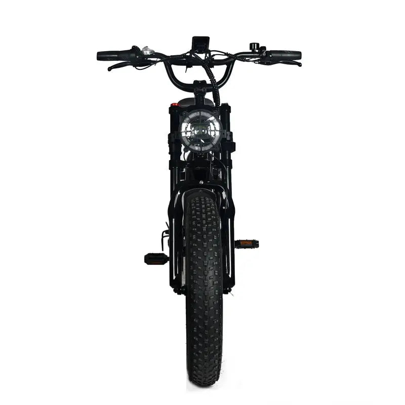 Shi Mano 1000W Fat Tire Electric Mountain Bike – 20×4.0″, 48V 20Ah Battery, 45 mph Top Speed