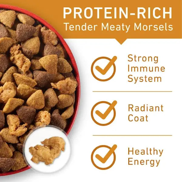 Purina ONE SmartBlend Chicken & Rice Formula 31.1 lb Bag – Adult Dry Dog Food