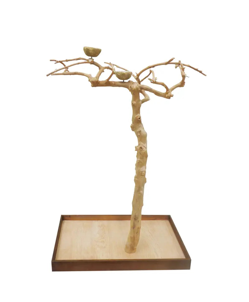 Prevue Pet Products Coffeawood Java Tree Small Floor Playstand Style #2 Model 22623